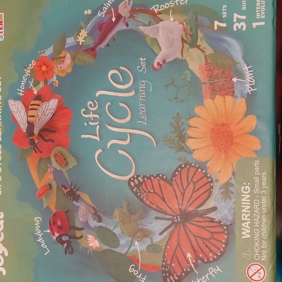 Life Cycle Learning Set - Multicolor - Picture 5 of 5